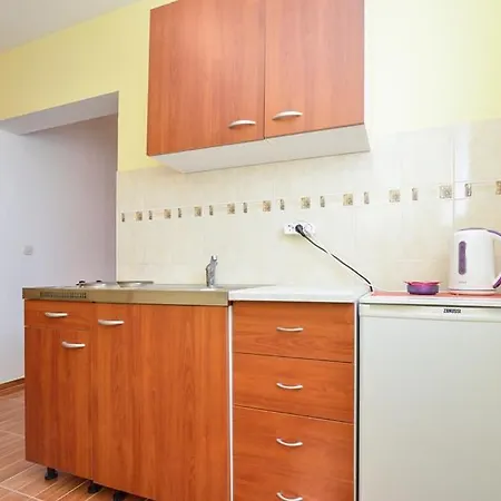Sreca Near With Bbq Apartment